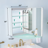 WELLFOR NIKA 20-in x 30-in Lighted LED Fog Free Surface/Recessed Mount Silver Mirrored Soft Close Medicine Cabinet with Outlet