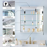 WELLFOR NIKA 20-in x 30-in Lighted LED Fog Free Surface/Recessed Mount Silver Mirrored Soft Close Medicine Cabinet with Outlet
