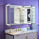 WELLFOR NIKA 48-in x 30-in Lighted LED Fog Free Surface/Recessed Mount Silver Mirrored Soft Close Medicine Cabinet with Outlet