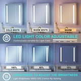 WELLFOR VICK 30-in x 30-in Lighted LED Fog Free Surface/Recessed Mount Silver Mirrored Soft Close Medicine Cabinet with Outlet