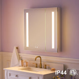 WELLFOR VICK 30-in x 30-in Lighted LED Fog Free Surface/Recessed Mount Silver Mirrored Soft Close Medicine Cabinet with Outlet
