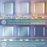WELLFOR VICK 36-in x 30-in Lighted LED Fog Free Surface/Recessed Mount Silver Mirrored Soft Close Medicine Cabinet with Outlet