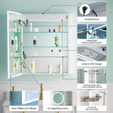 WELLFOR ELIN 24-in x 30-in Lighted LED Fog Free Surface/Recessed Mount Silver Mirrored Soft Close Medicine Cabinet with Outlet