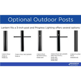 Progress Lighting Haslett 100-Watt 18-in Black Farmhouse Post Light