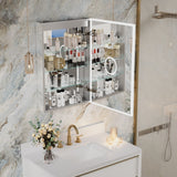 Forclover 20-in x 30-in Lighted LED Fog Free Surface/Recessed Mount Silver Mirrored Soft Close Medicine Cabinet with Outlet