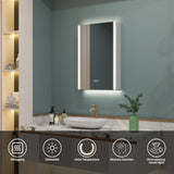 WELLFOR CHIC 20-in x 30-in Lighted LED Fog Free Surface Mount Black Mirrored Soft Close Medicine Cabinet with Outlet