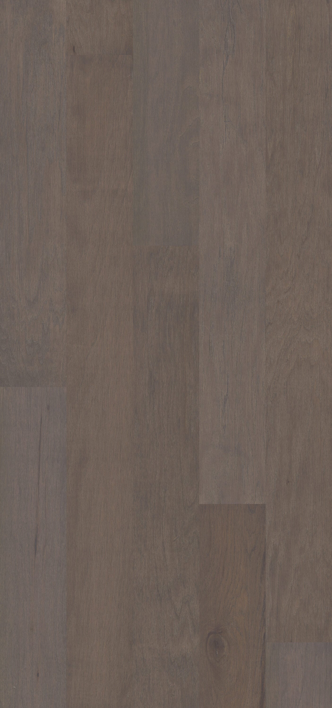 Shaw Hickory Savannah hardwood flooring — lifestyle view