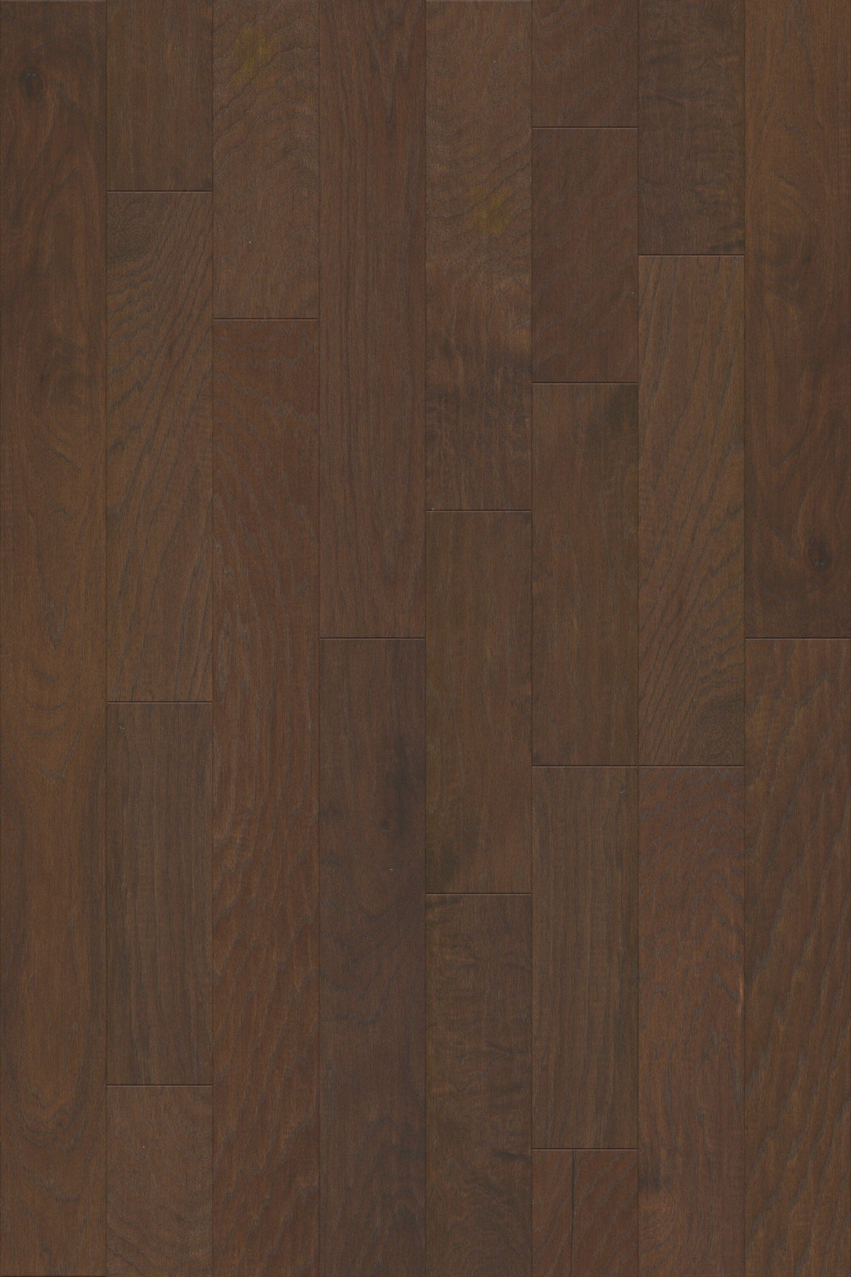 Shaw Hickory Bedivere hardwood flooring — lifestyle view