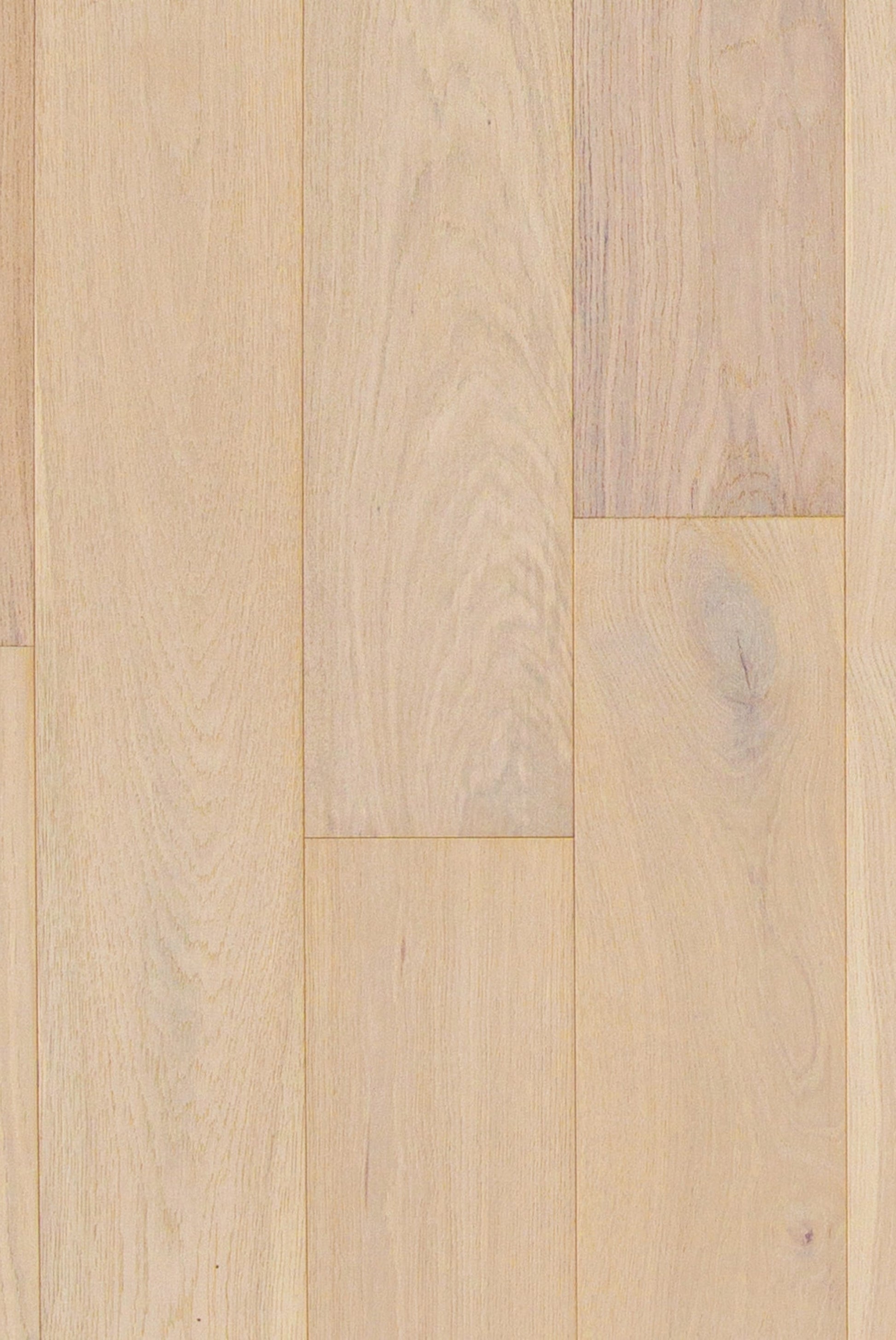 Shaw White oak Sevilla hardwood flooring — alternate angle