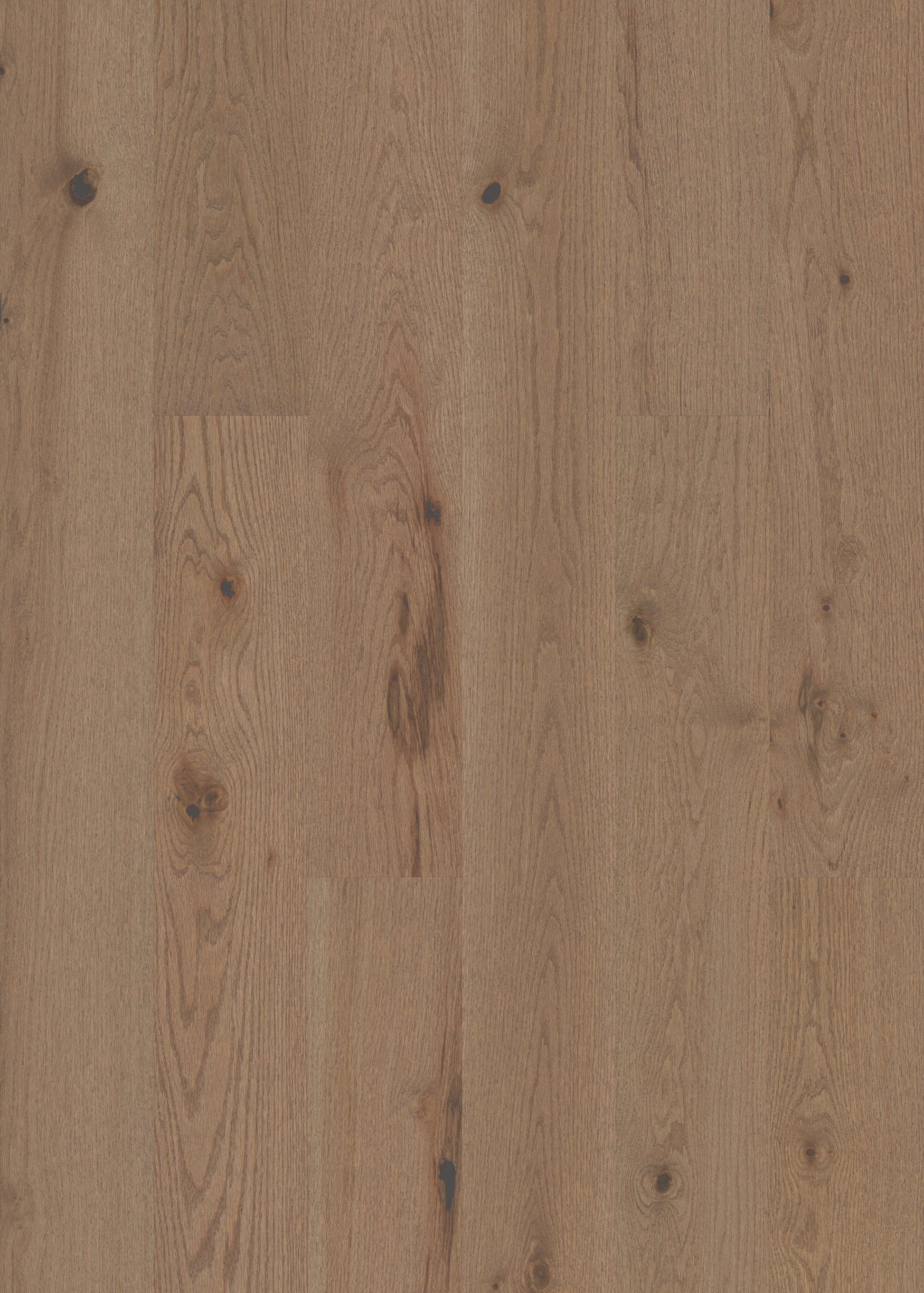 Shaw Oak Knox hardwood flooring — lifestyle view