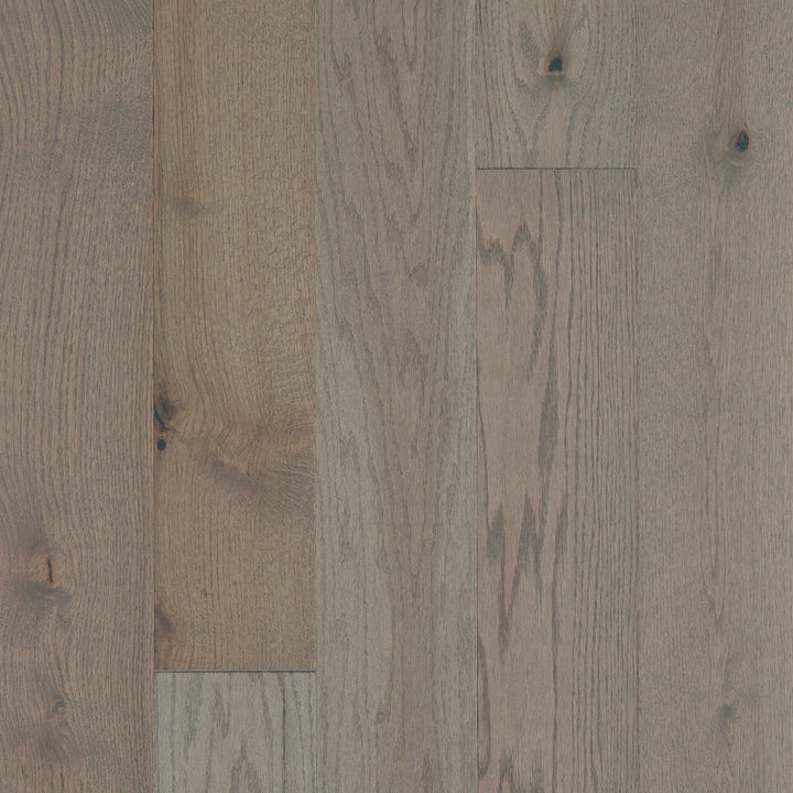 Shaw Oak Kaius hardwood flooring — primary plank view