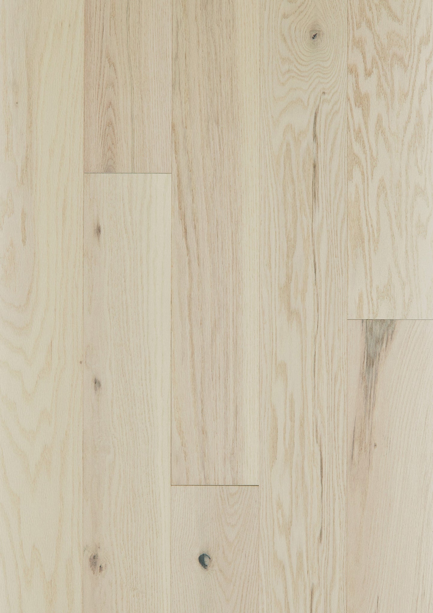 Shaw Oak Keir hardwood flooring — lifestyle view