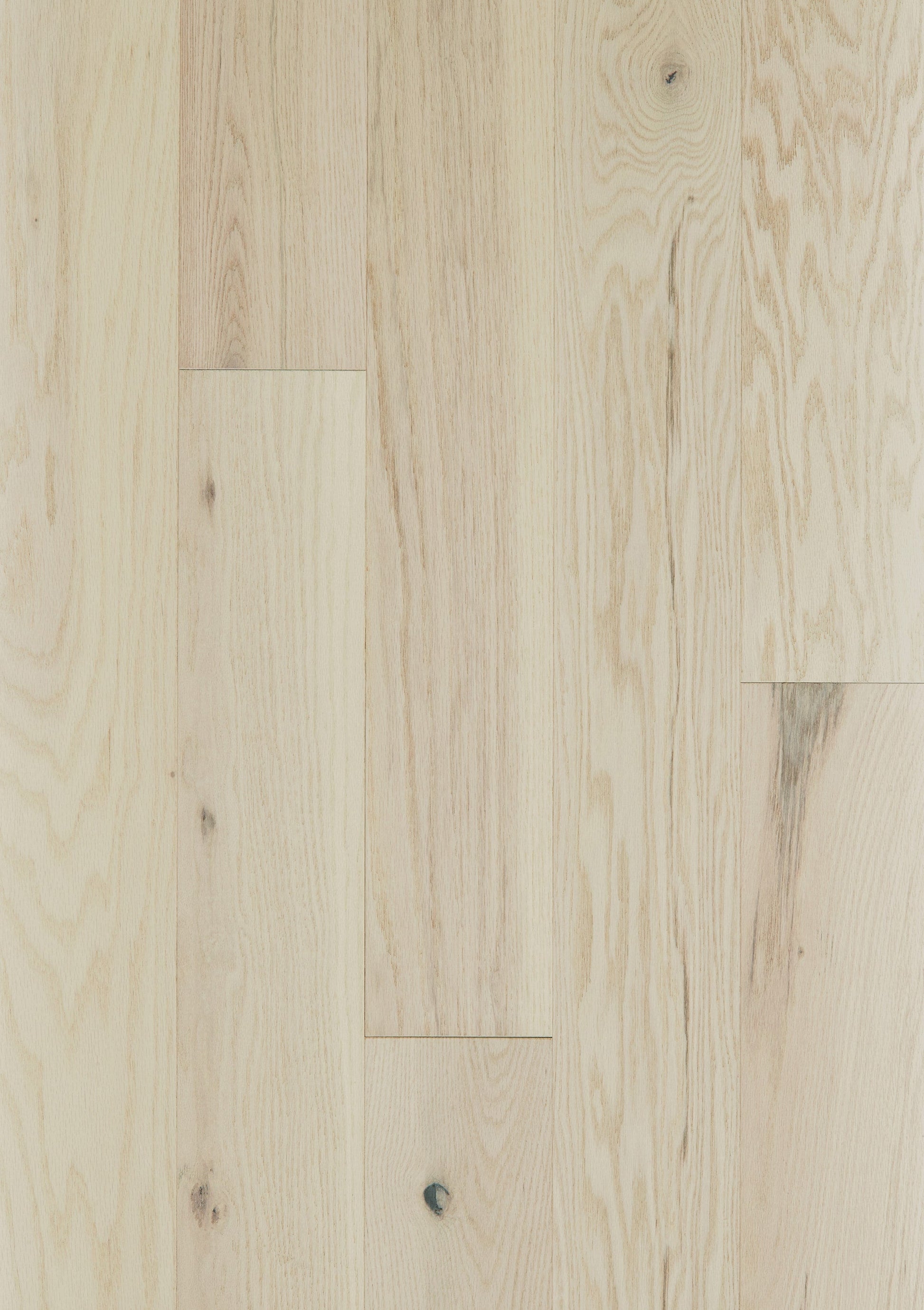 Shaw Oak Keir hardwood flooring — lifestyle view