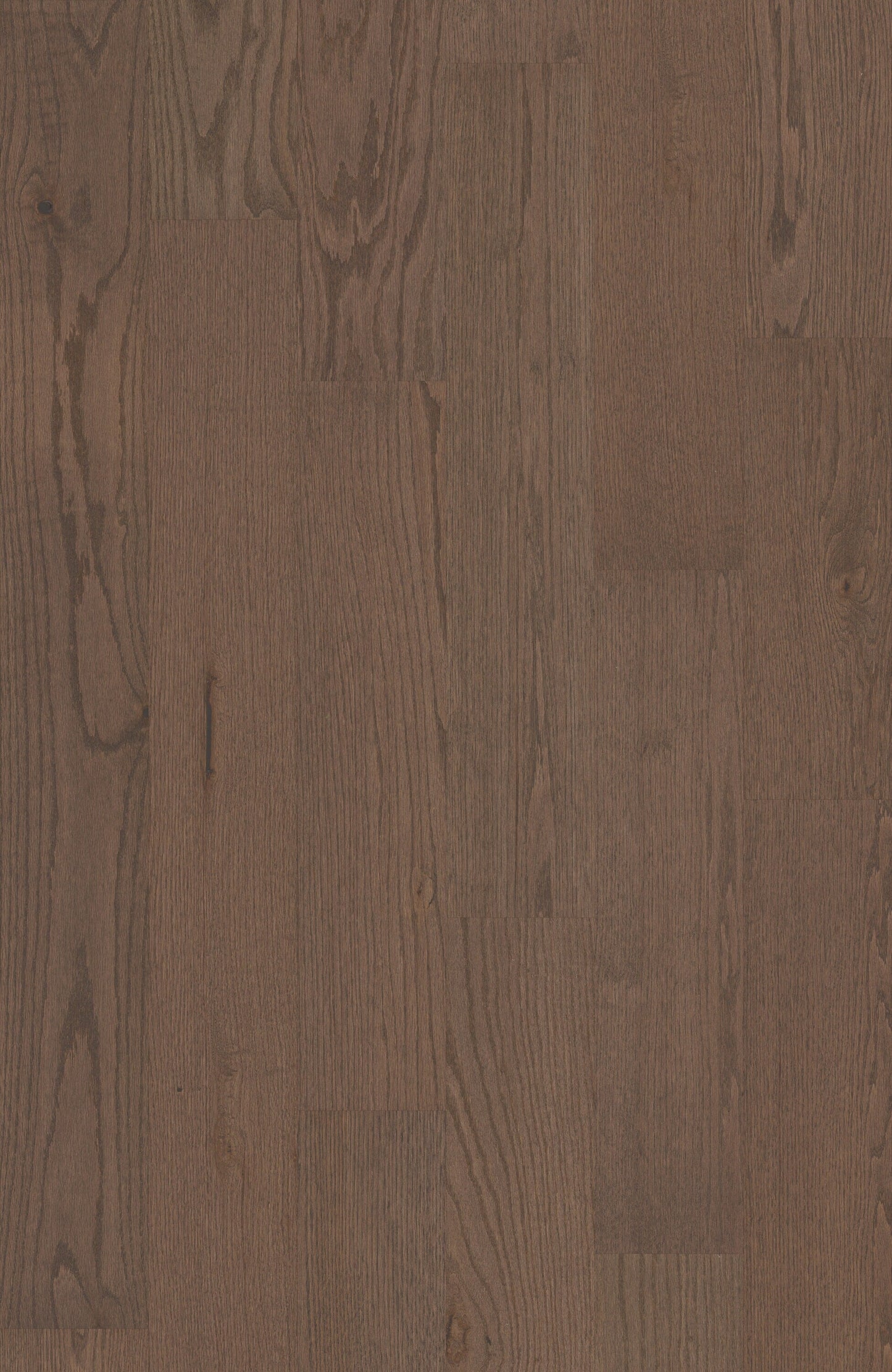 Shaw Oak Kismet hardwood flooring — lifestyle view