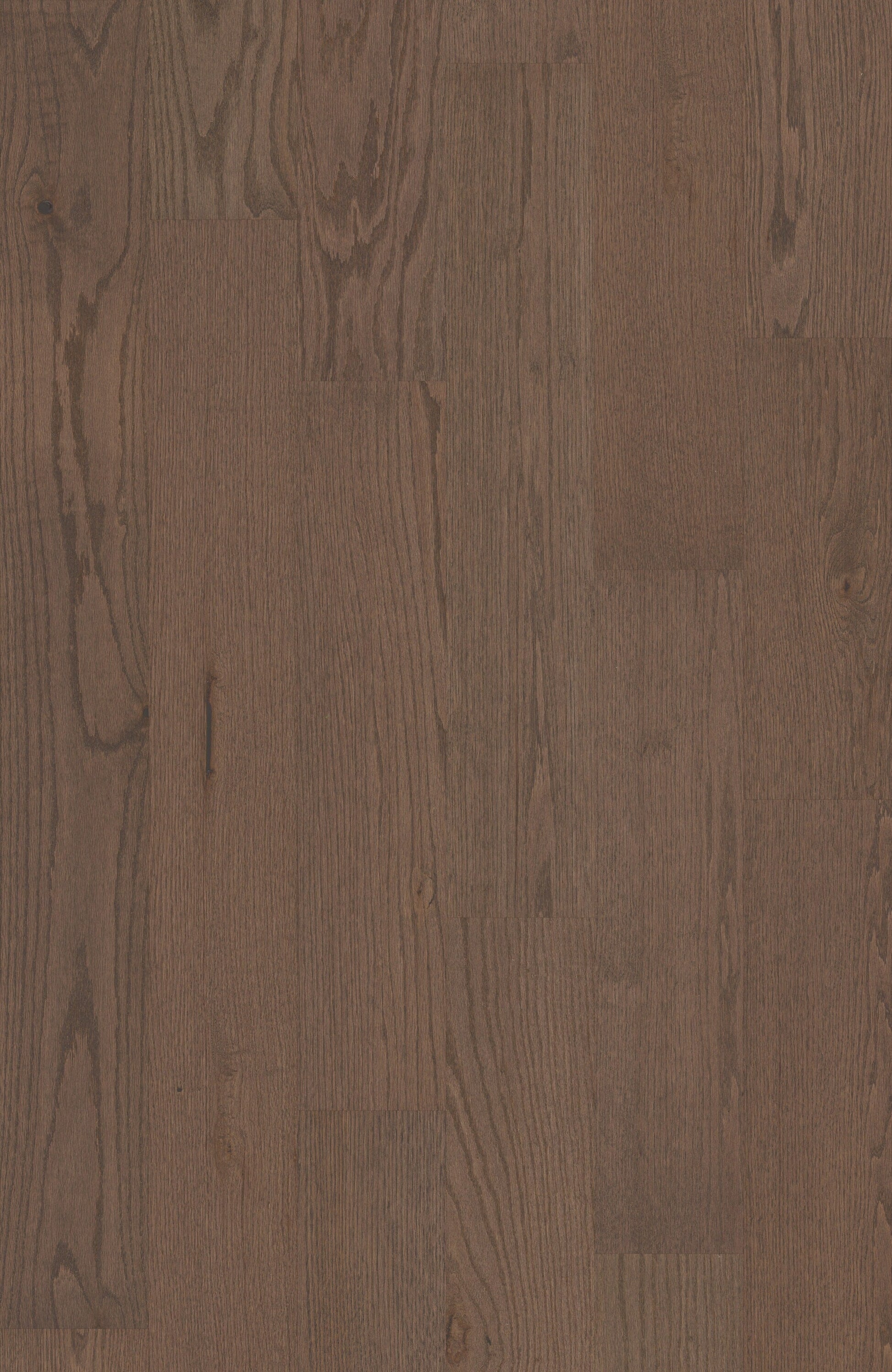 Shaw Oak Kismet hardwood flooring — lifestyle view