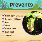 Bonide Tomato & Vegetable 3-in-1 Organic Liquid Insect, Disease & Mite Control, Ready-to-Use, 32 oz