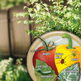 Bonide Tomato & Vegetable 3-in-1 Organic Liquid Insect, Disease & Mite Control, Ready-to-Use, 32 oz