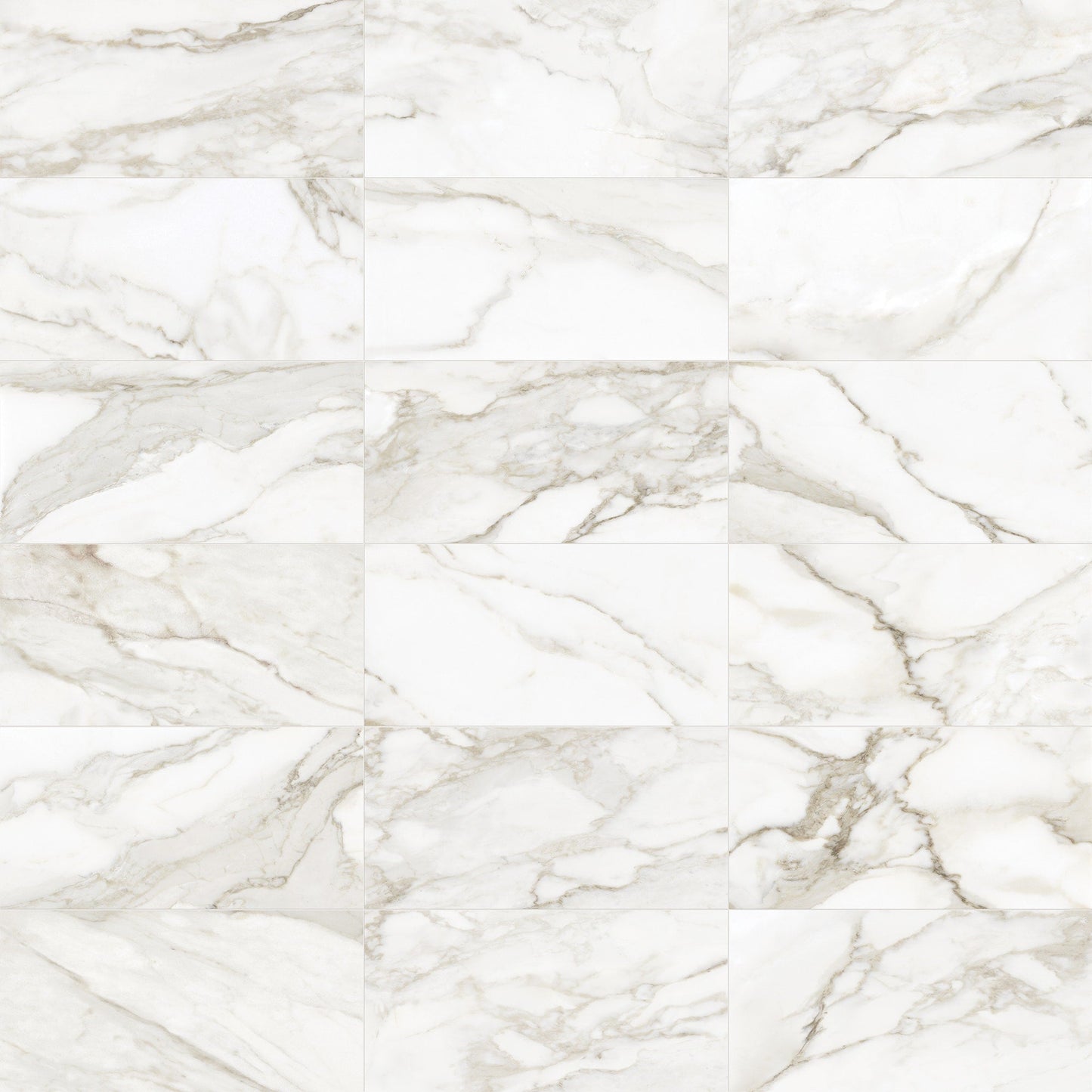 Satori La Marca Paonazzo 12-in x 24-in Honed Porcelain Marble look Floor and Wall Tile product image
