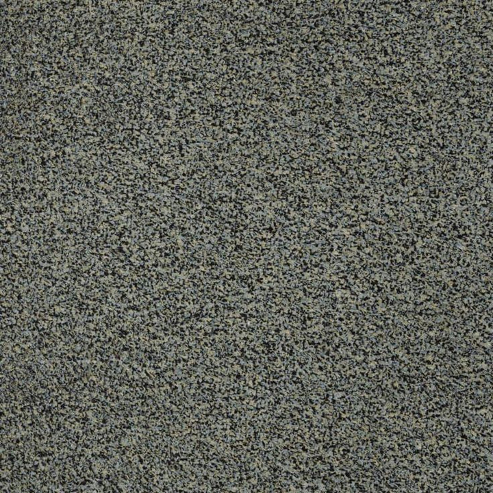 TrafficMaster Toulon 12 ft. Wide x Cut to Length Indoor/Outdoor Riverbirch Artificial Grass