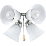 AirPro 4-Light Brushed Nickel Ceiling Fan Light