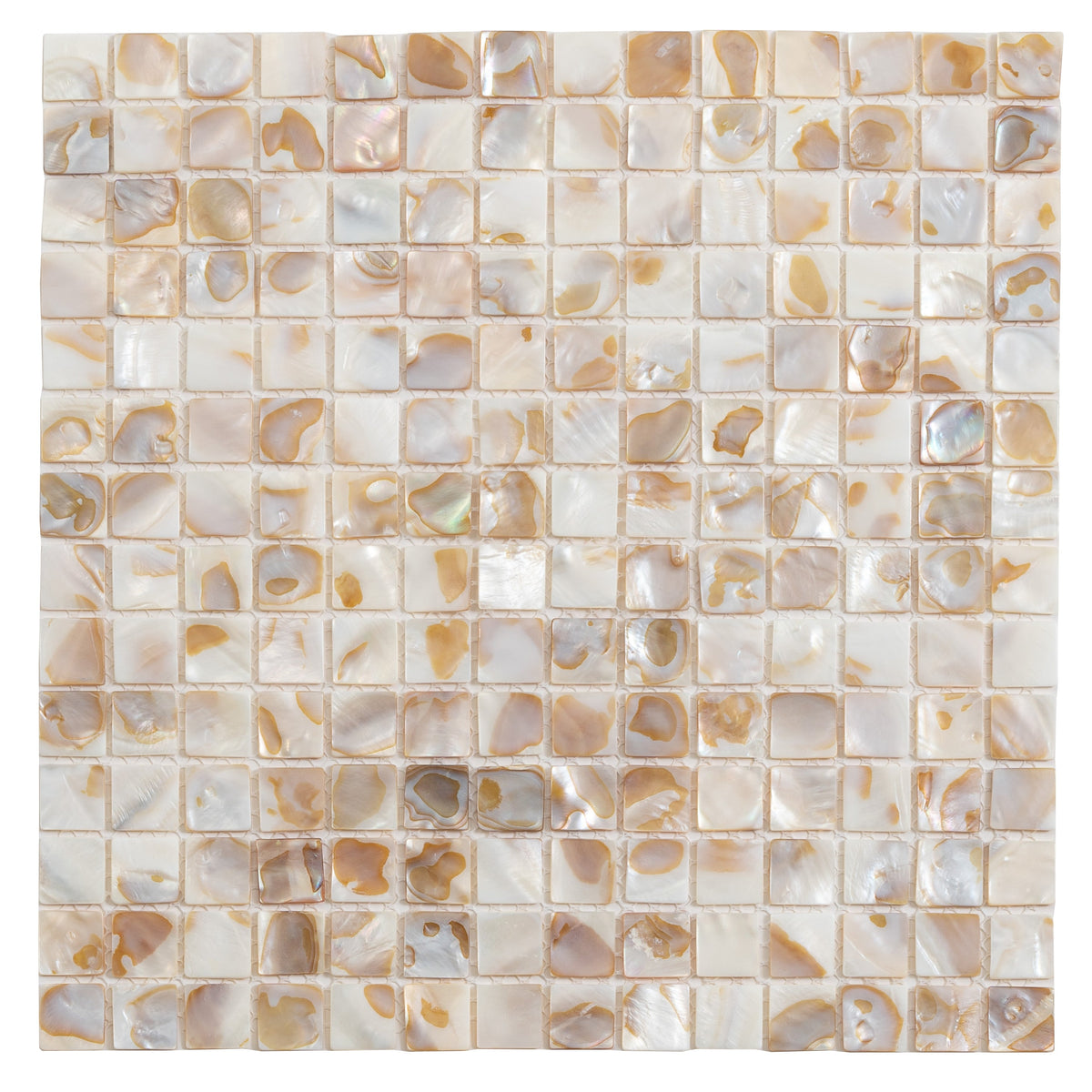 Apollo Tile Jewelicious Bright Beige Natural Shell 12-in x 12-in Polished Natural shell Patterned Mosaic Wall Tile product image
