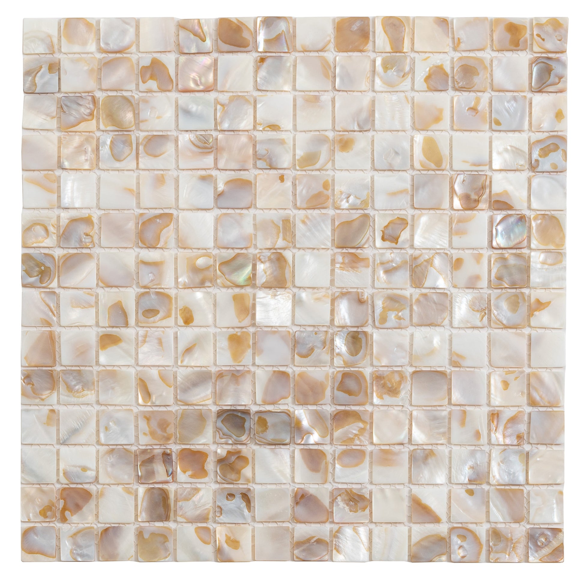Apollo Tile Jewelicious Bright Beige Natural Shell 12-in x 12-in Polished Natural shell Patterned Mosaic Wall Tile product image