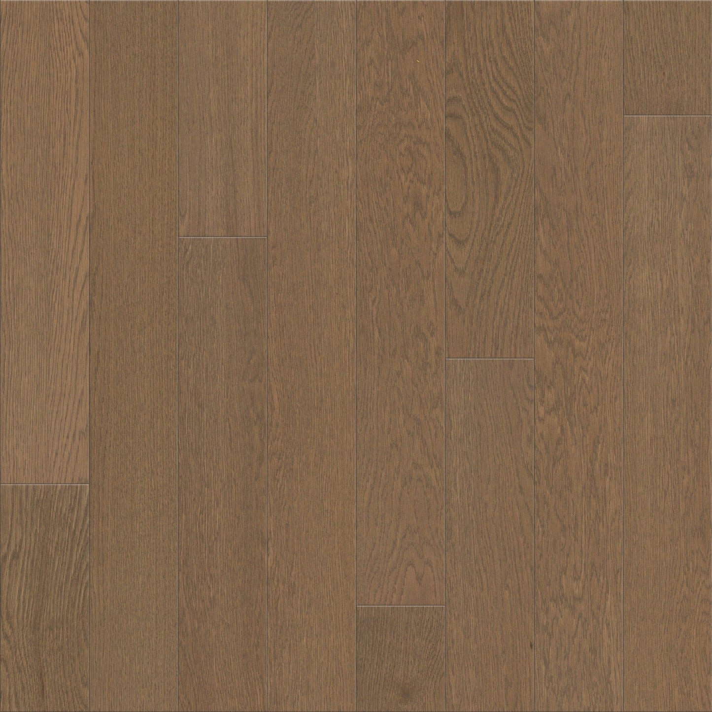 Shaw Oak Umber hardwood flooring — primary plank view