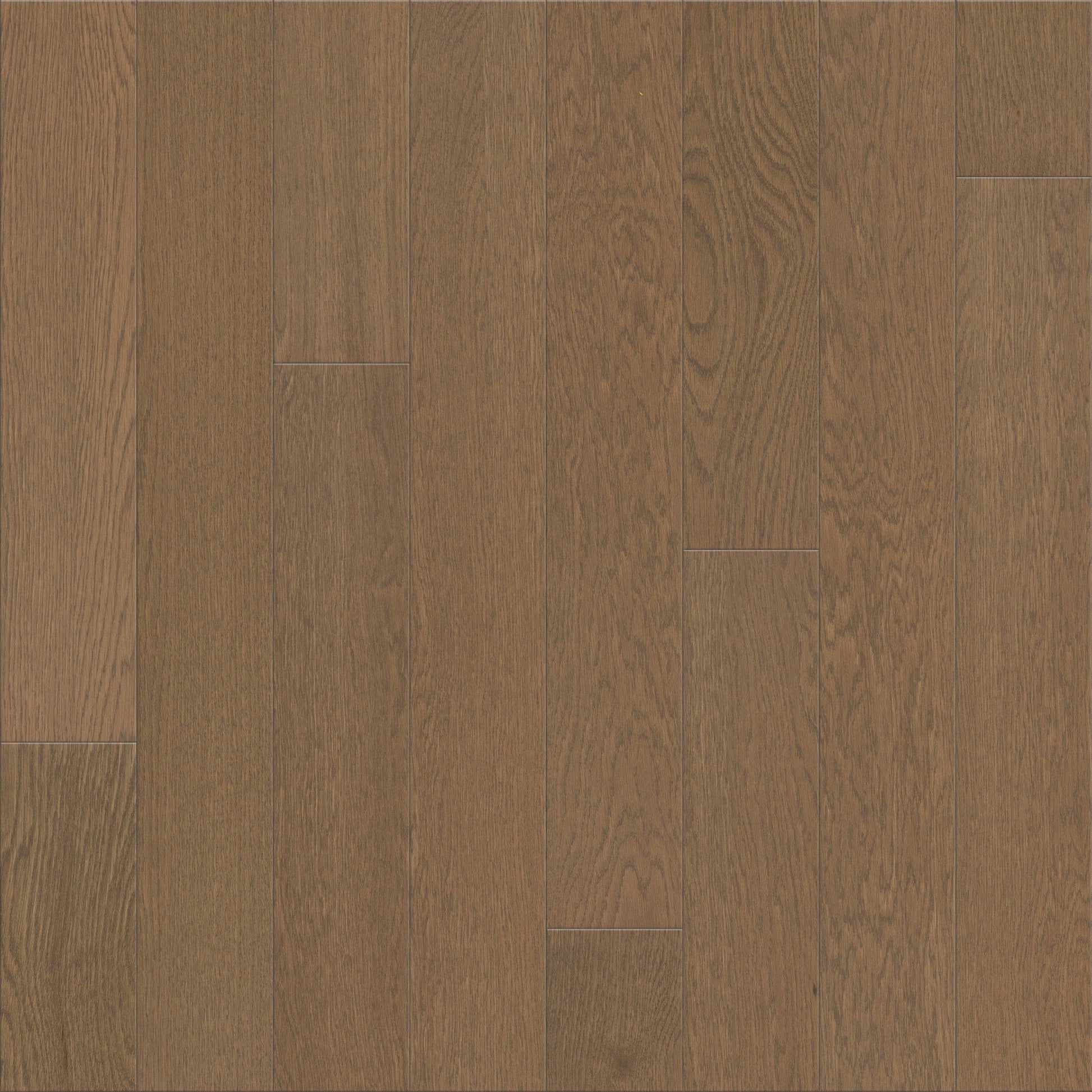 Shaw Oak Umber hardwood flooring — primary plank view