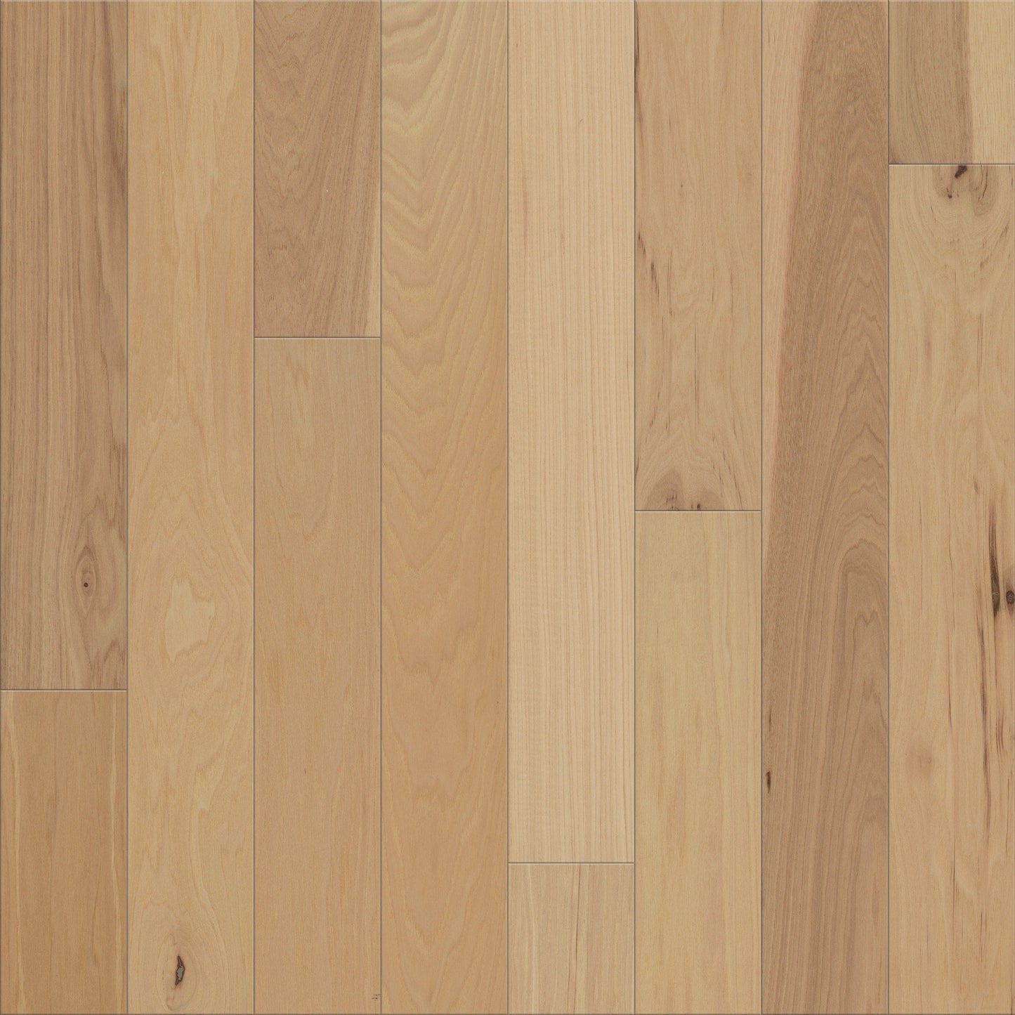 Shaw Hickory Feather hardwood flooring — primary plank view