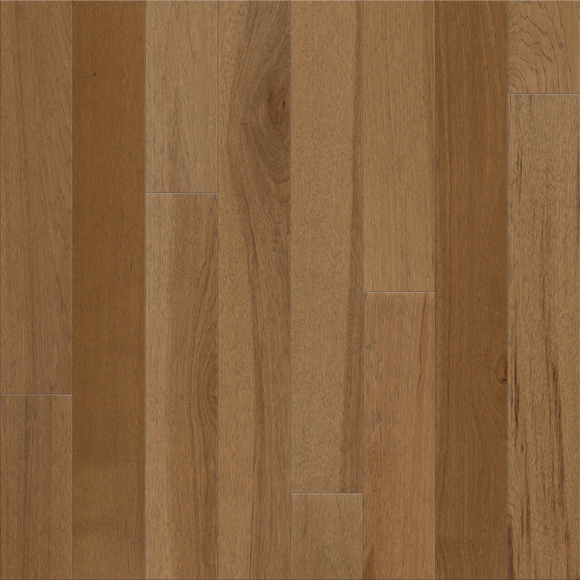 Shaw Hickory Amber hardwood flooring — primary plank view
