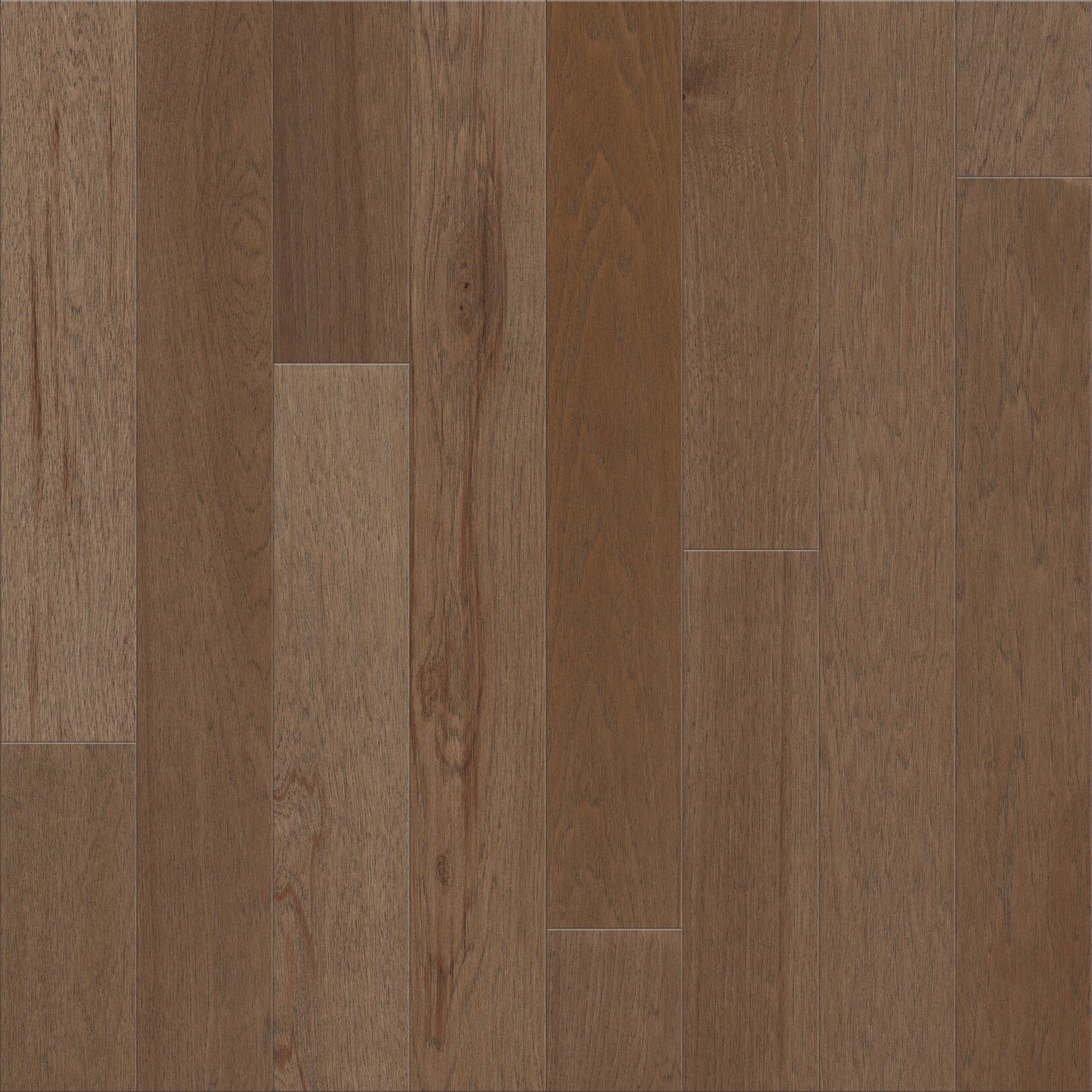 Shaw Hickory Sable hardwood flooring — primary plank view