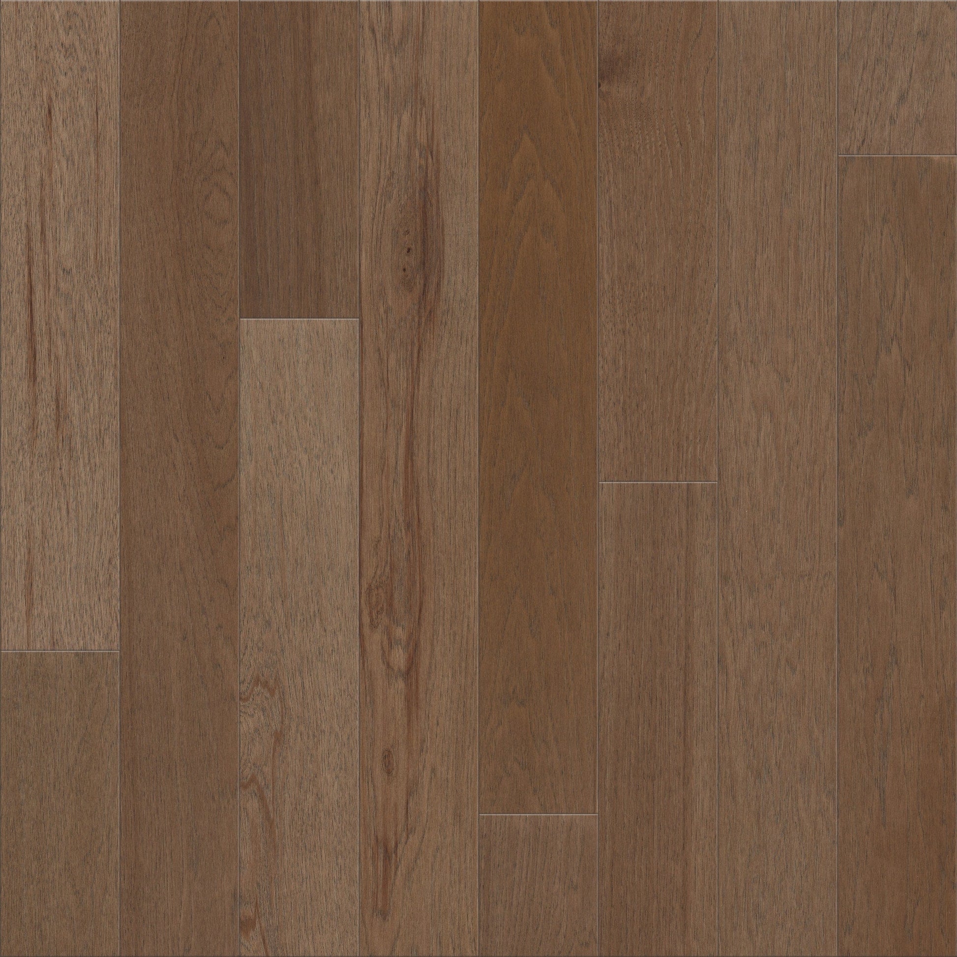 Shaw Hickory Sable hardwood flooring — primary plank view