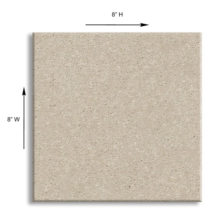 STAINMASTER Essentials Blue Diamonds II 12-ft Bleached Textured Carpet Sample (Interior)