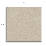 STAINMASTER Essentials Blue Diamonds II 12-ft Bleached Textured Carpet Sample (Interior)