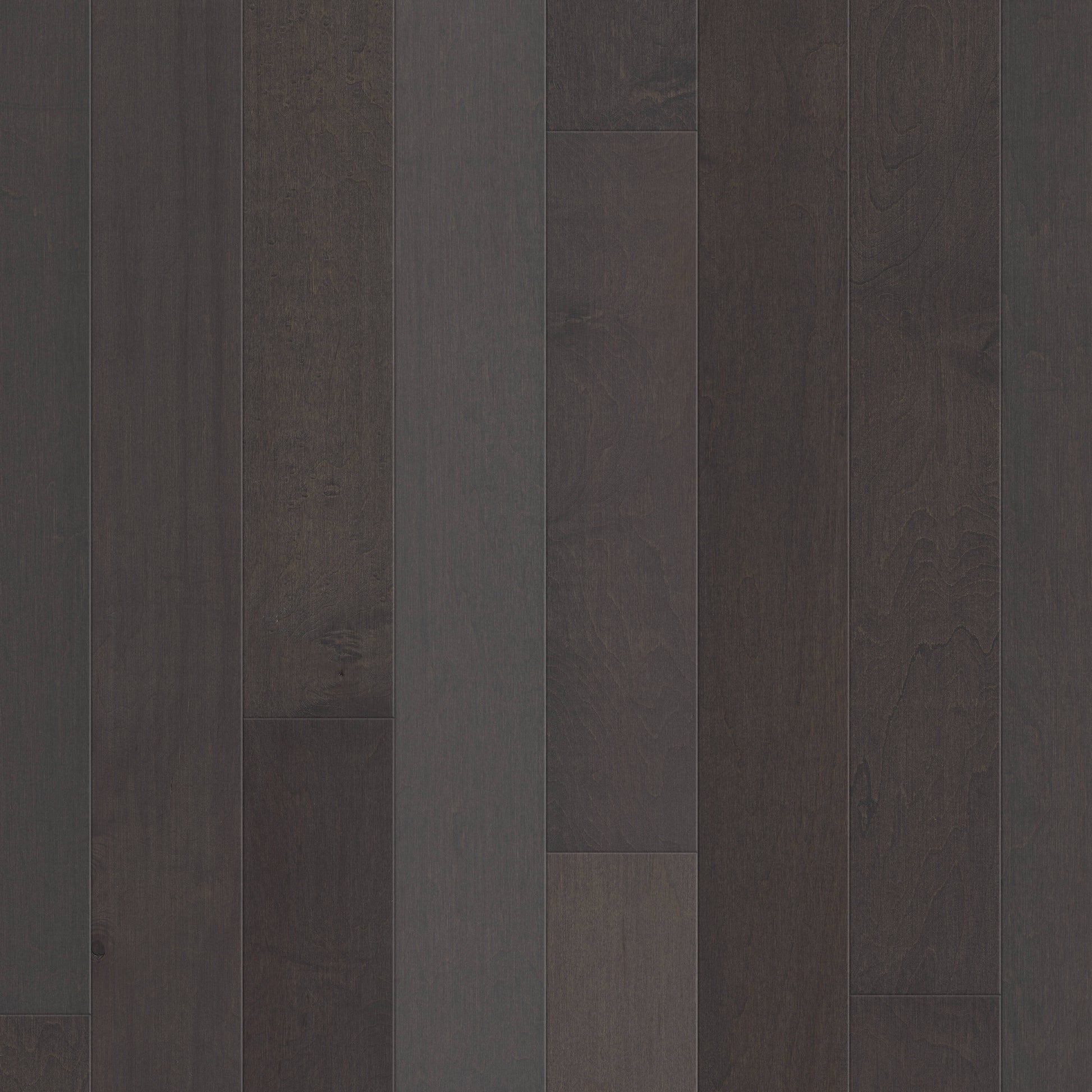 Shaw Maple Affogato hardwood flooring — primary plank view