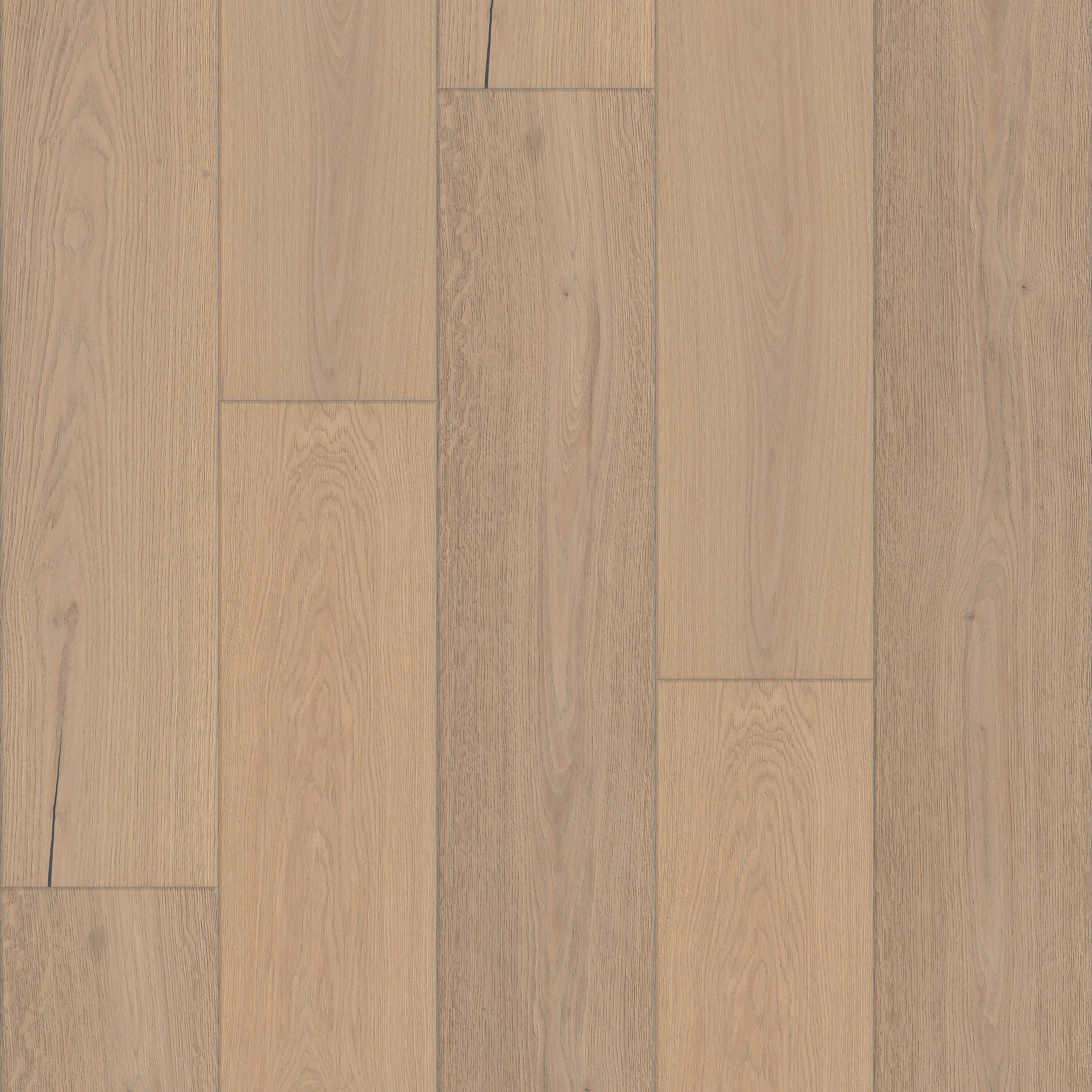 Shaw White oak Washington Park hardwood flooring — primary plank view