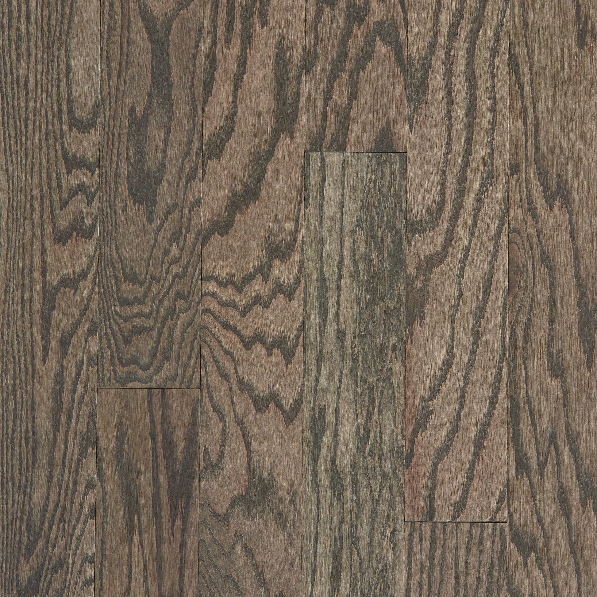 Shaw Red oak Americano hardwood flooring — primary plank view