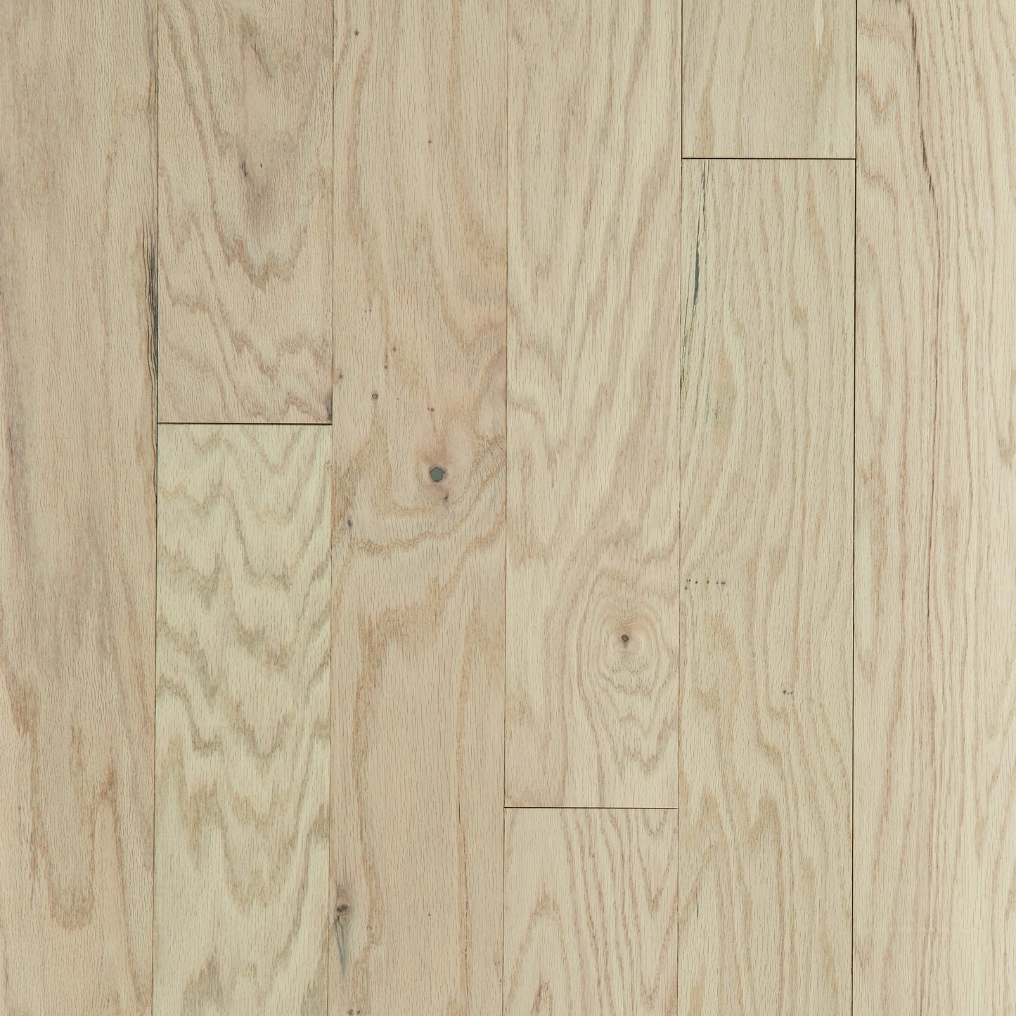 Shaw Red oak Ristretto hardwood flooring — primary plank view
