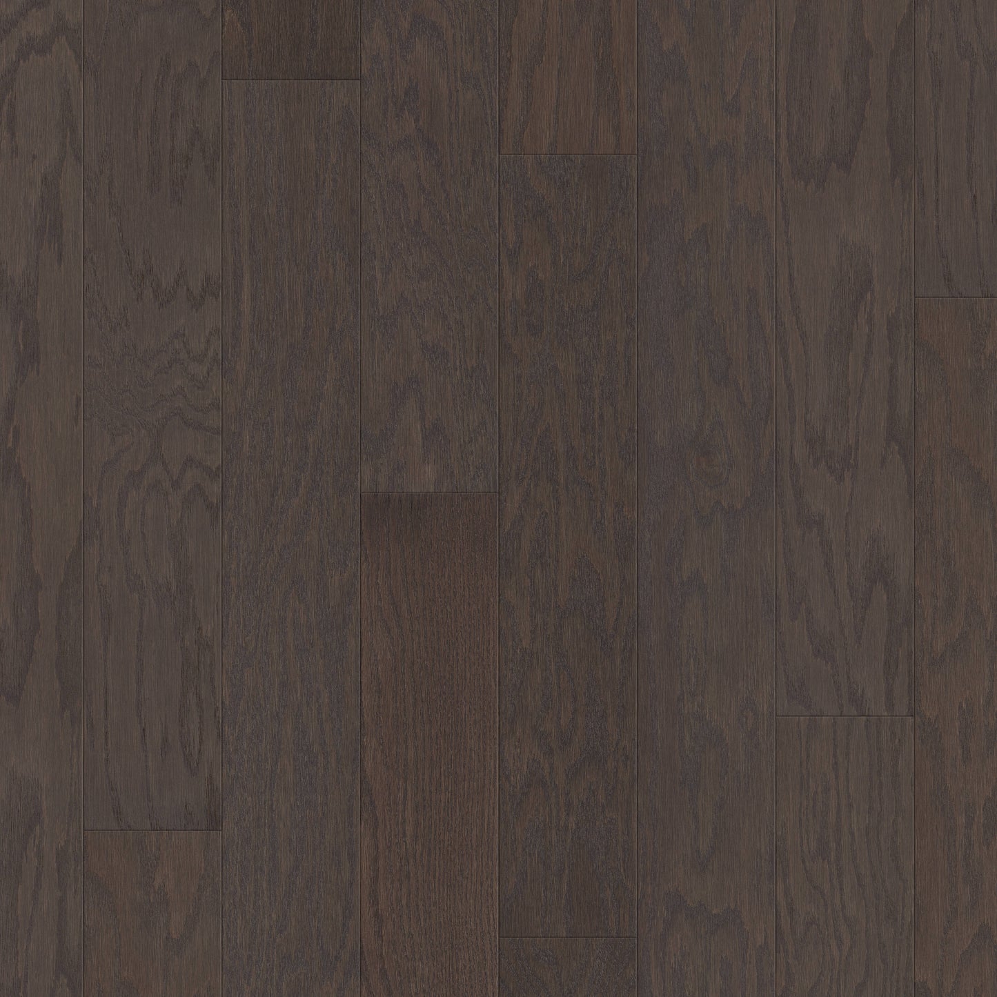 Shaw Red oak Borgia hardwood flooring — primary plank view