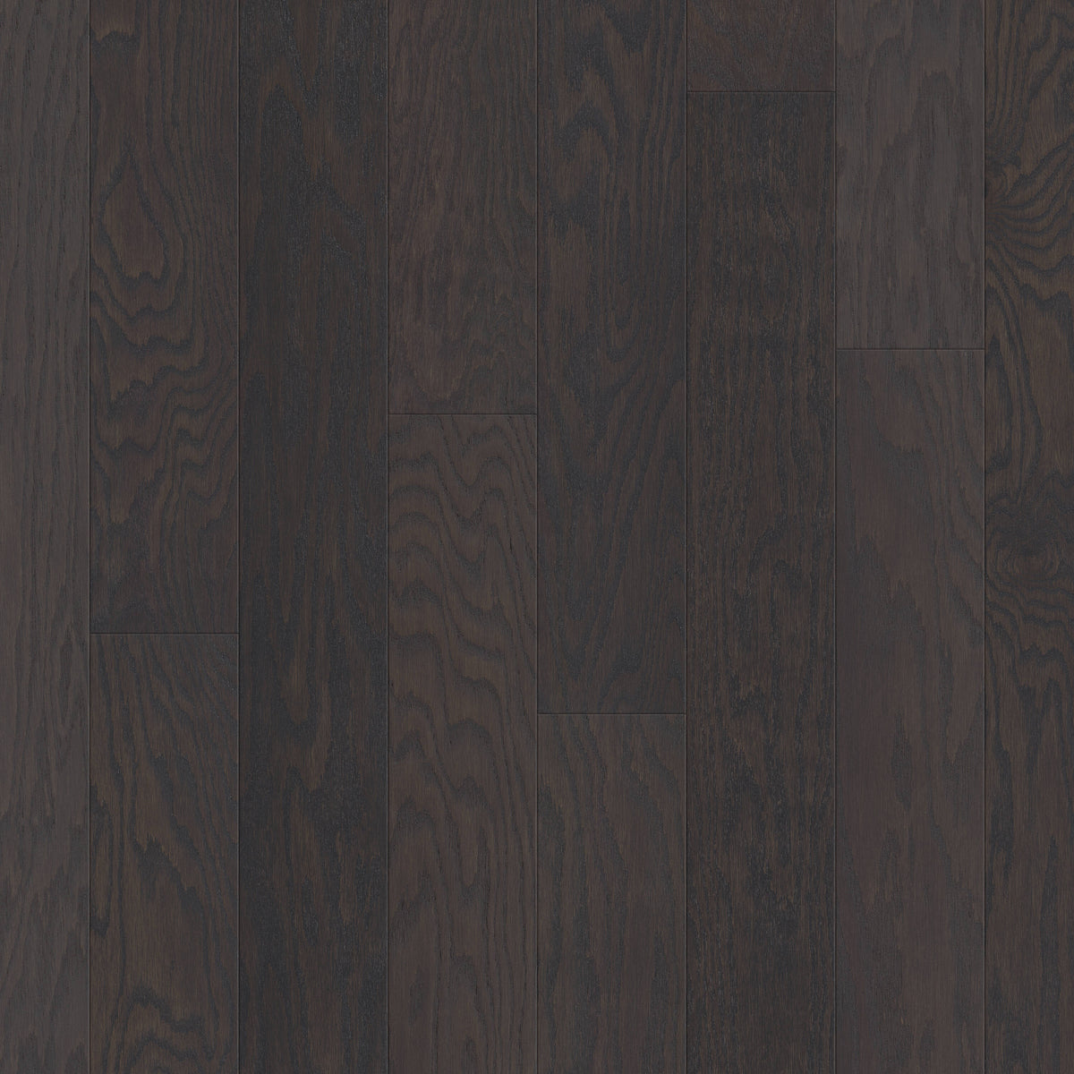 Shaw Red oak Latte hardwood flooring — primary plank view