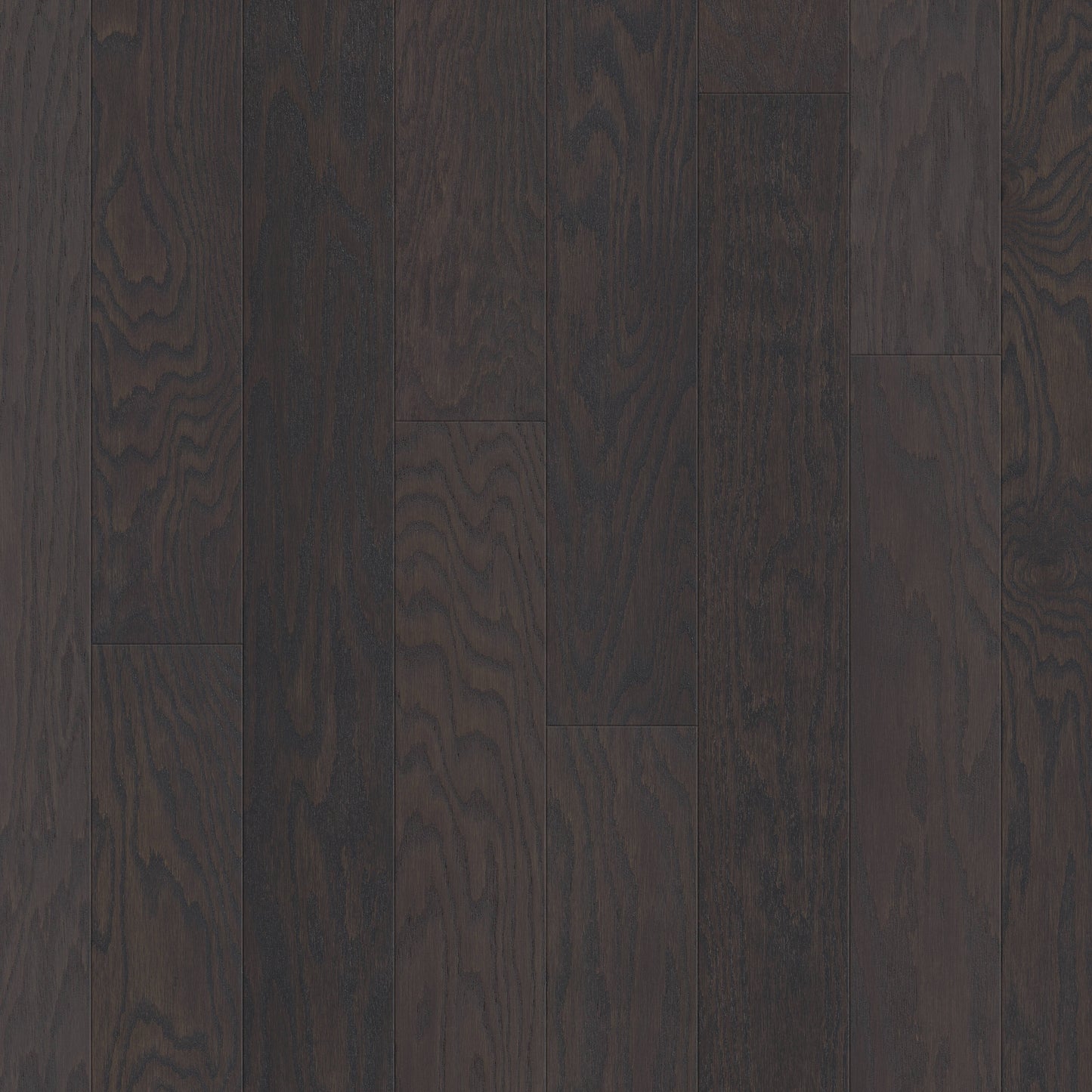 Shaw Red oak Latte hardwood flooring — primary plank view