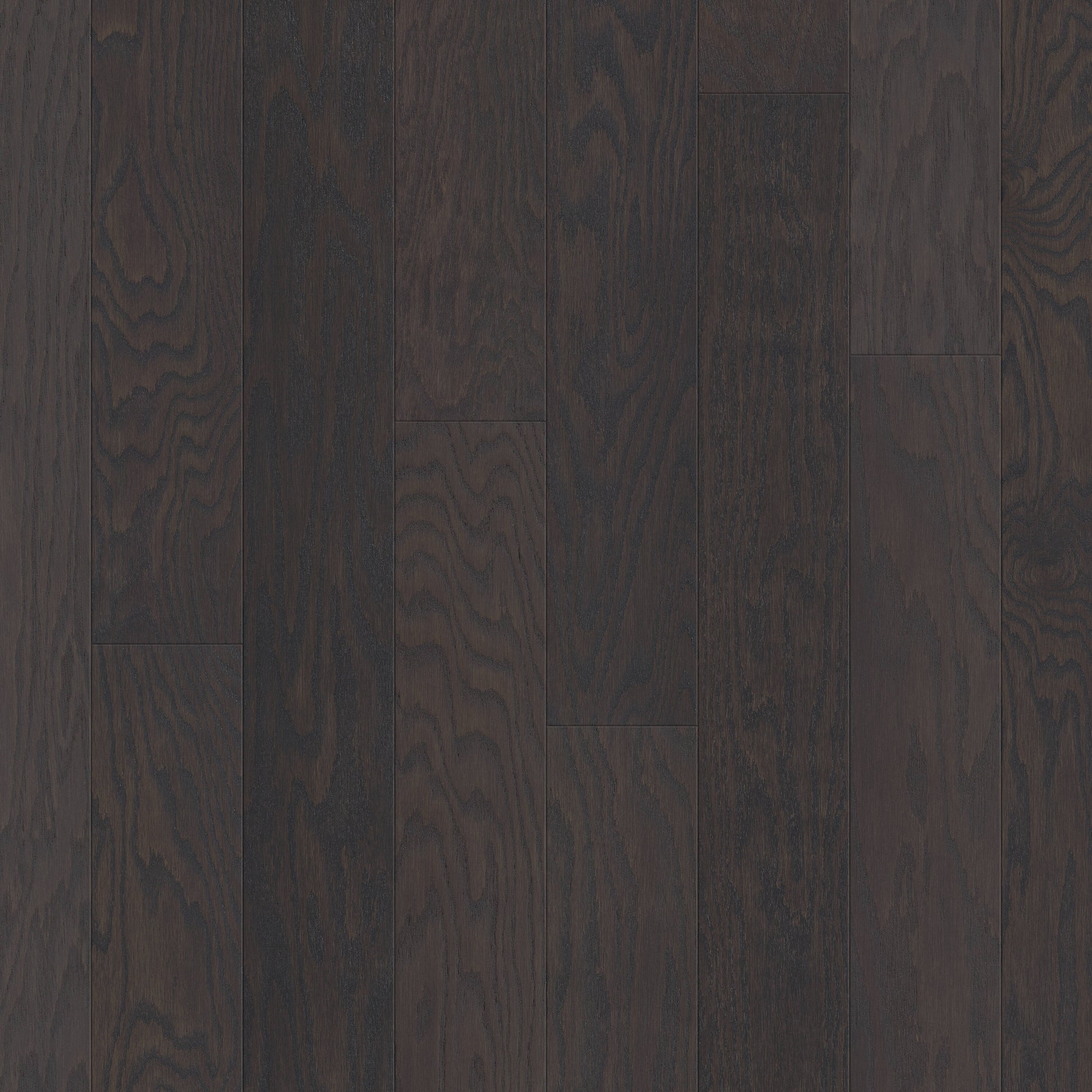 Shaw Red oak Latte hardwood flooring — primary plank view