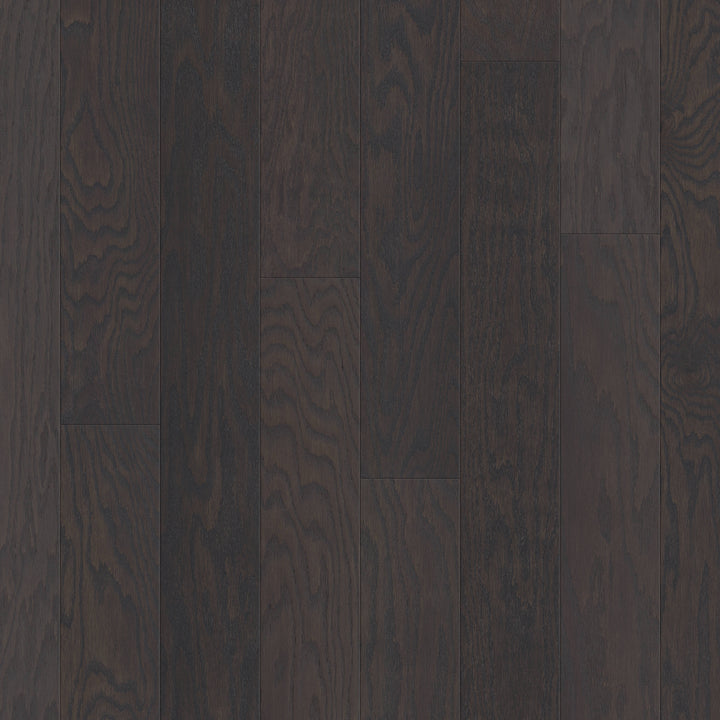 Shaw Red oak Latte hardwood flooring — primary plank view