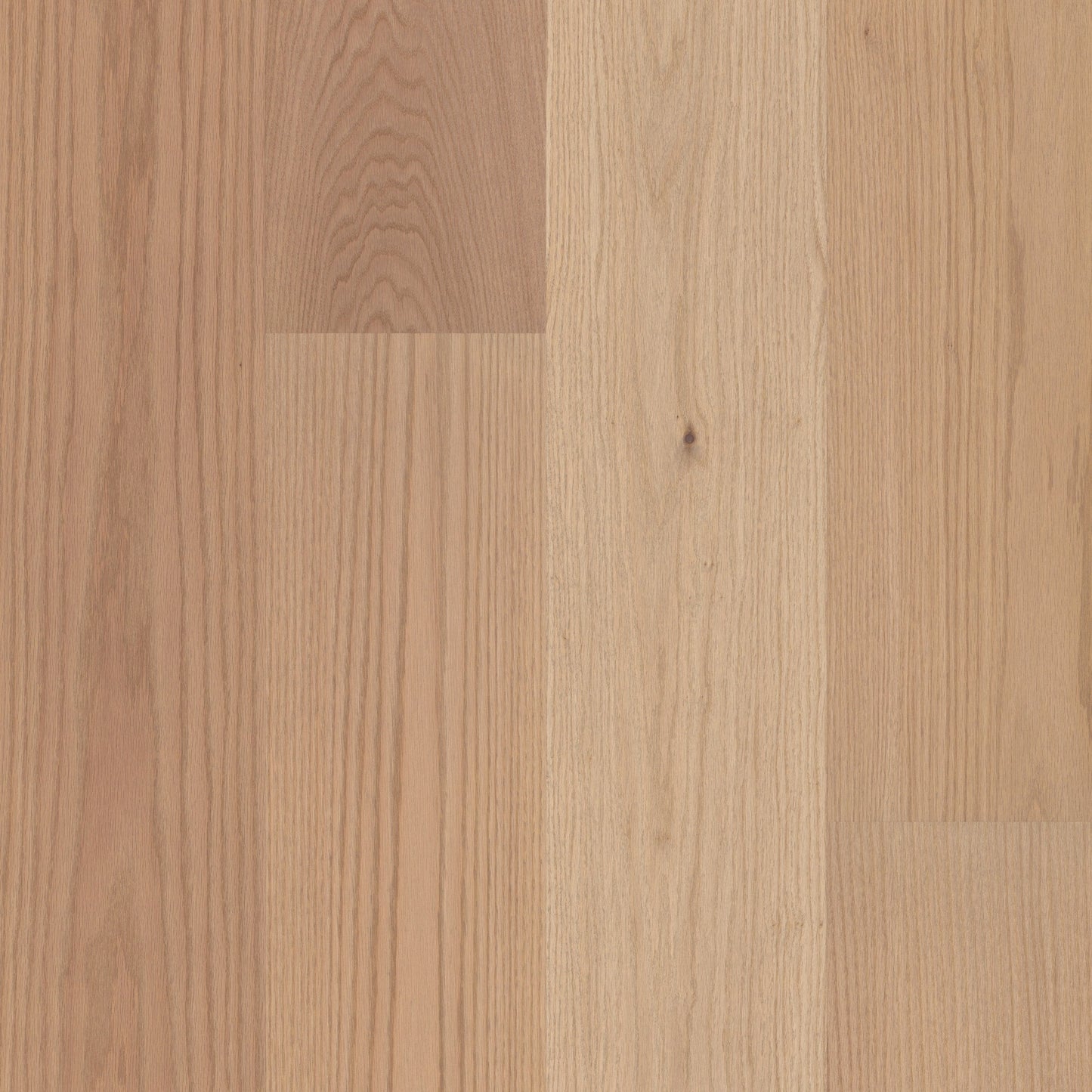 Shaw Oak Ridgewood hardwood flooring — primary plank view