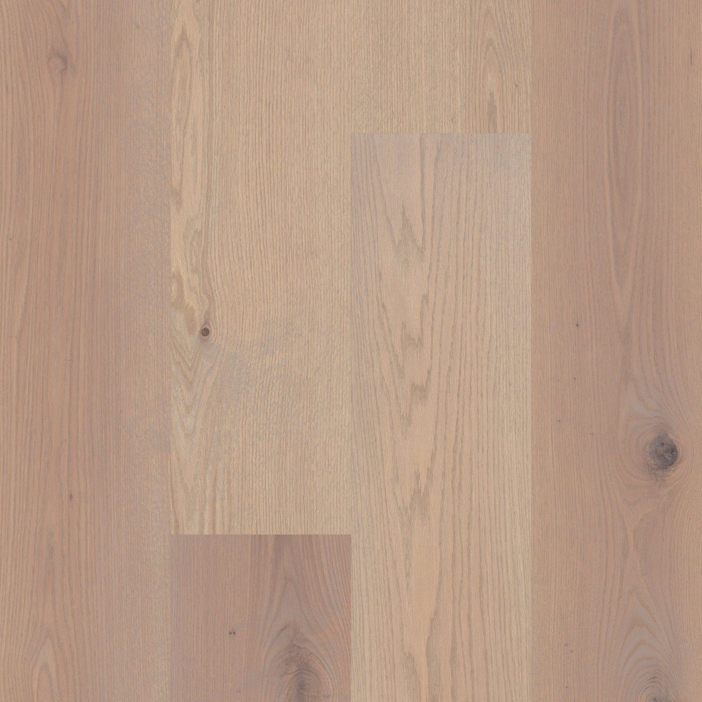 Shaw Oak Prairie Winds hardwood flooring — primary plank view