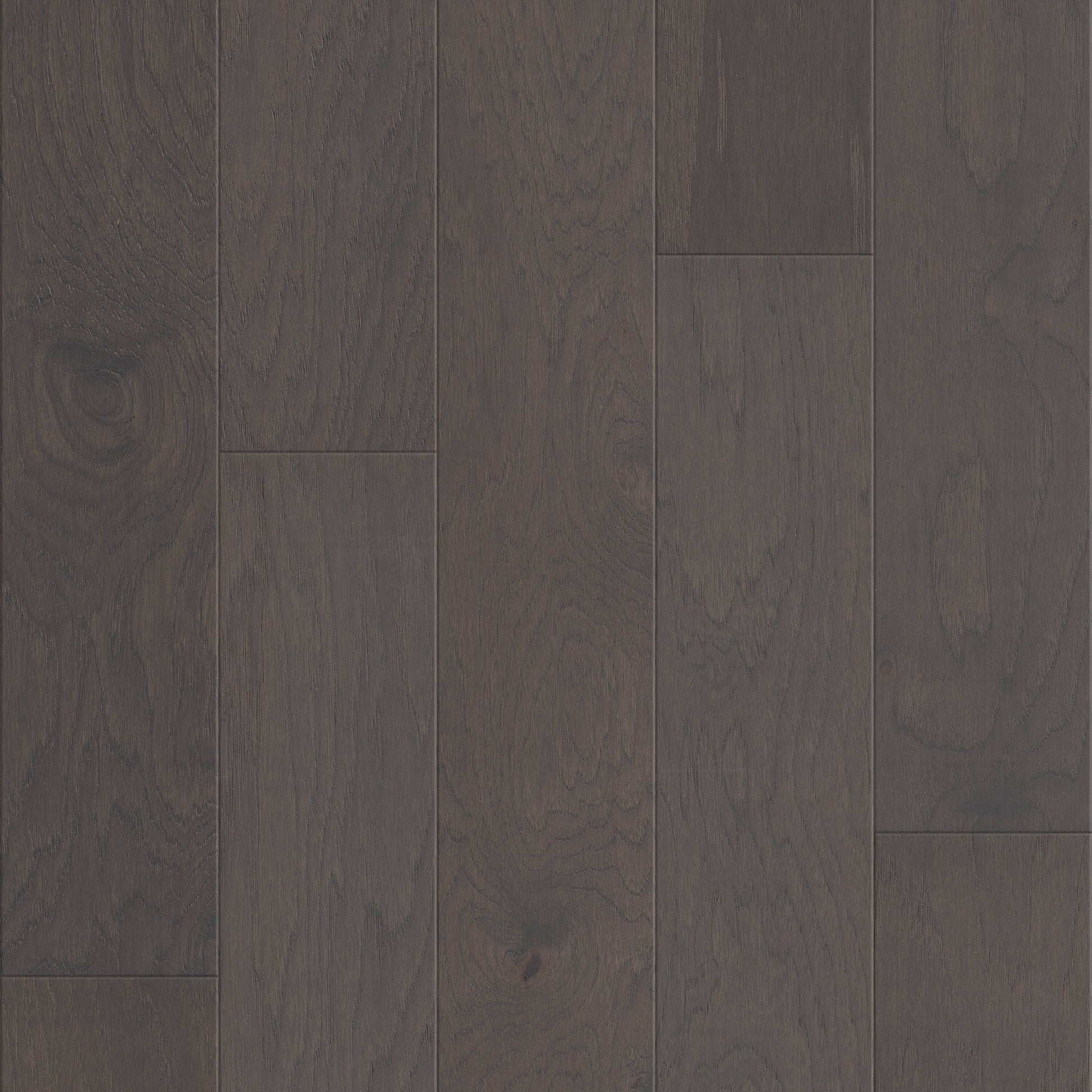Shaw Hickory Bismarck hardwood flooring — primary plank view