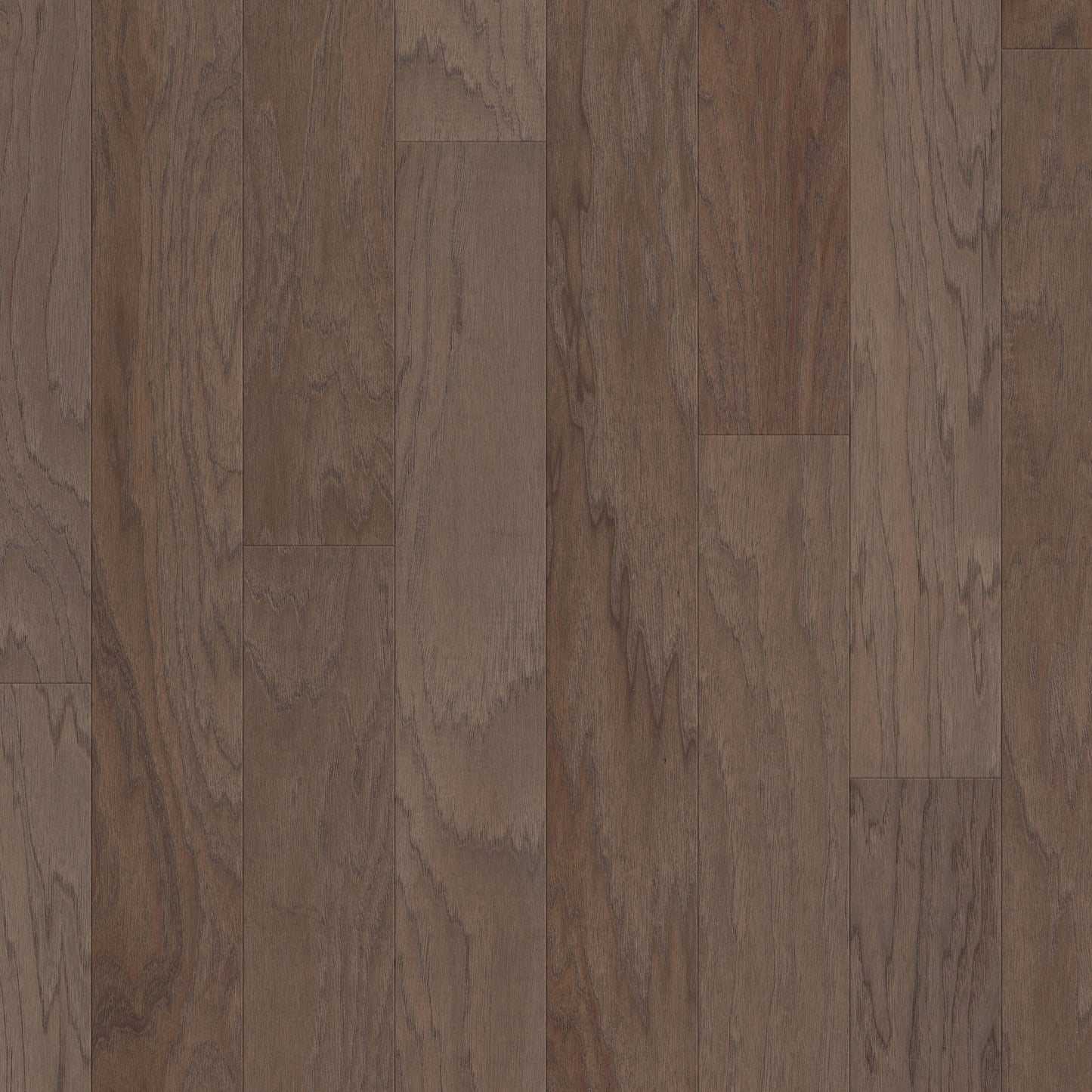 Shaw Hickory Wild Oak hardwood flooring — primary plank view