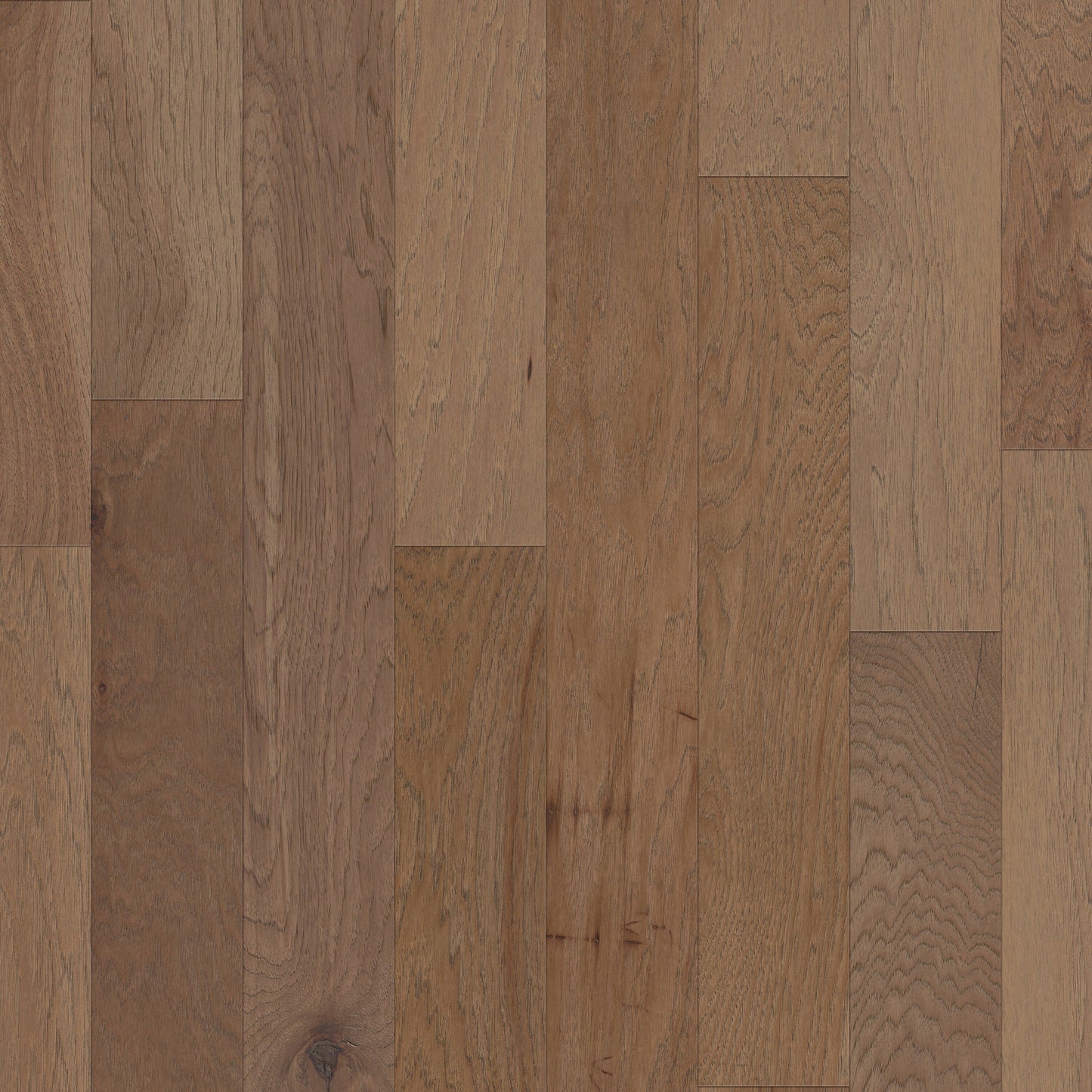 Shaw Hickory Thatch hardwood flooring — primary plank view