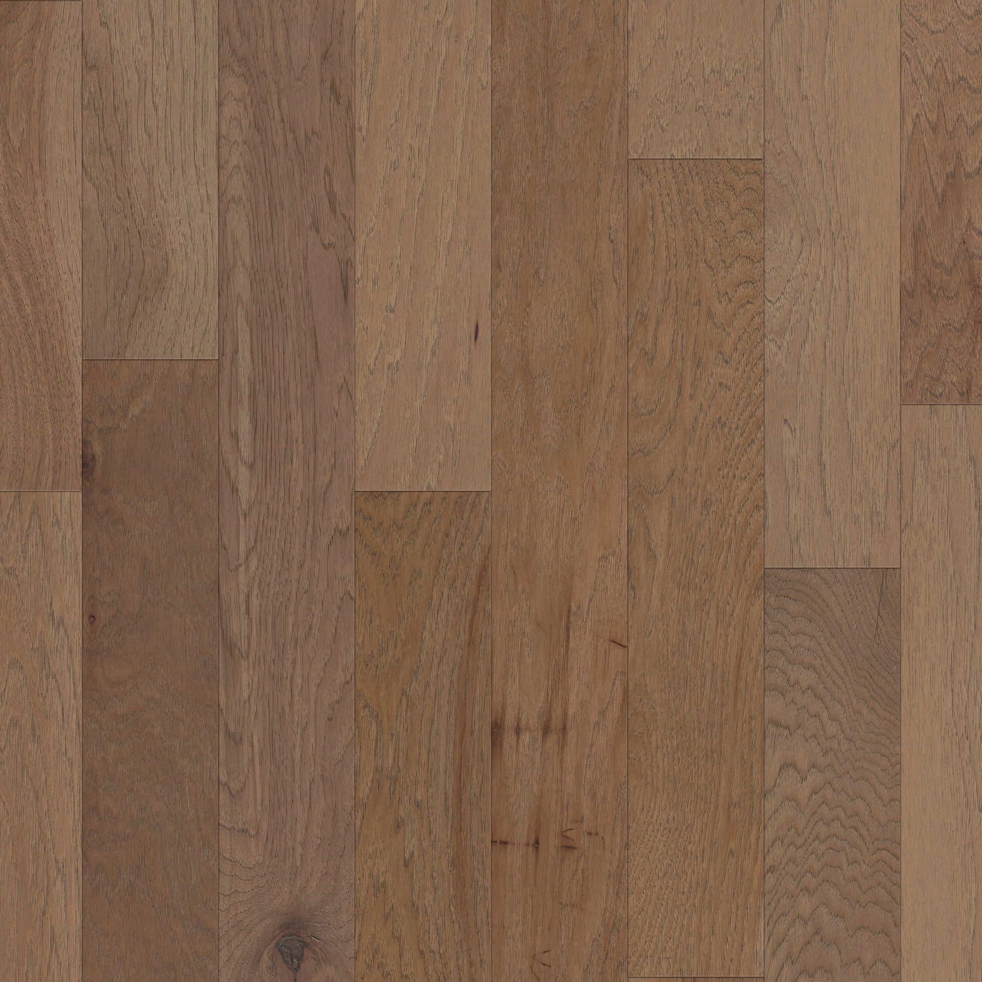Shaw Hickory Thatch hardwood flooring — primary plank view