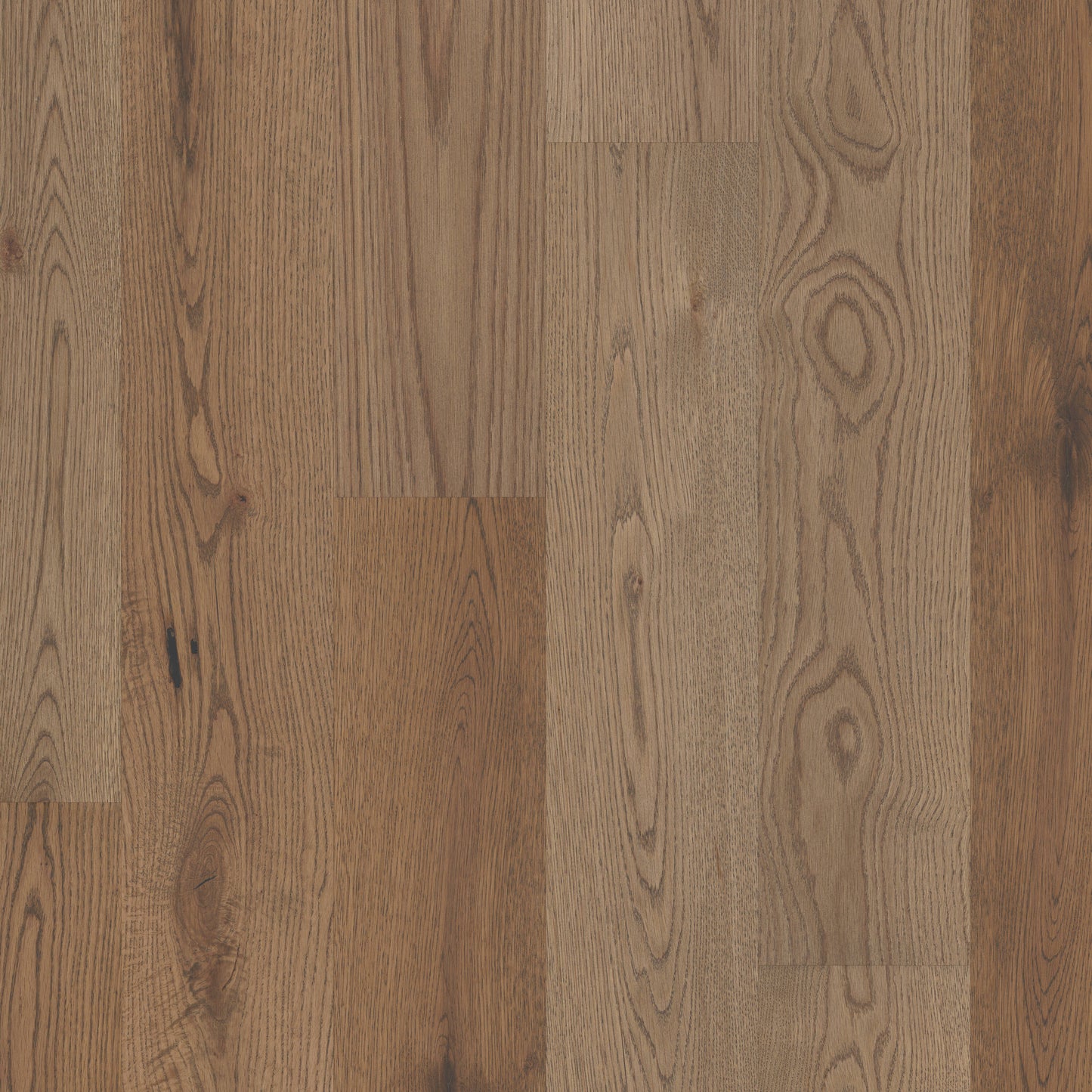 Shaw White oak Dakota hardwood flooring — primary plank view